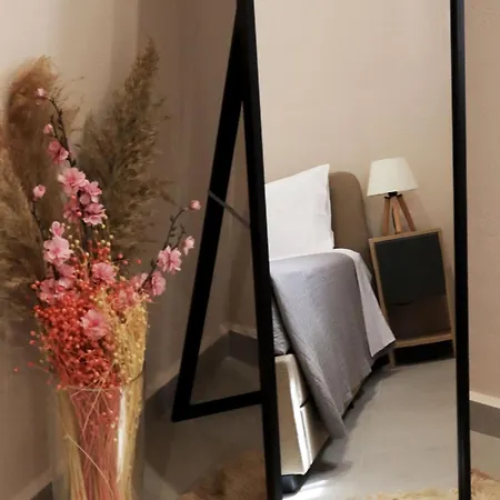 Stv Royal Appartments Areopoli